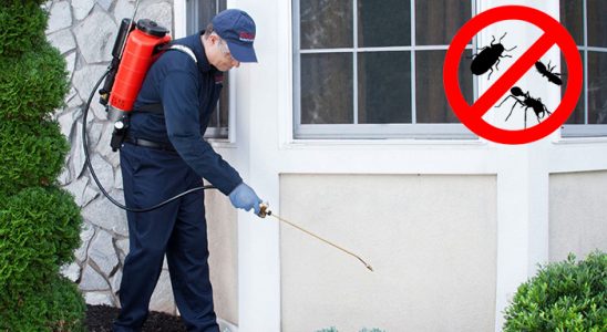 Kent 2 Kemirgen İlaçlama böcek ilaçlama ve haşere kontrolü — ilaclama-tr.com